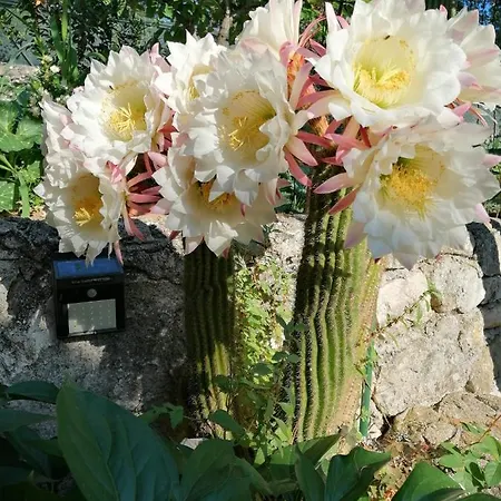 La Casa Di Antonella Holiday home